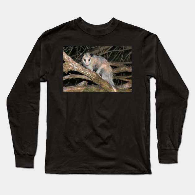 Possum Long Sleeve T-Shirt by MarieDarcy